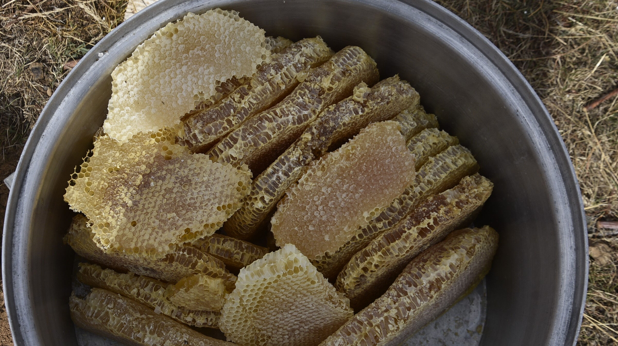 Hasat başladı! Dünyaca ünlü karakovan balının kilosu 2 bin liradan satılıyor - 3. Resim