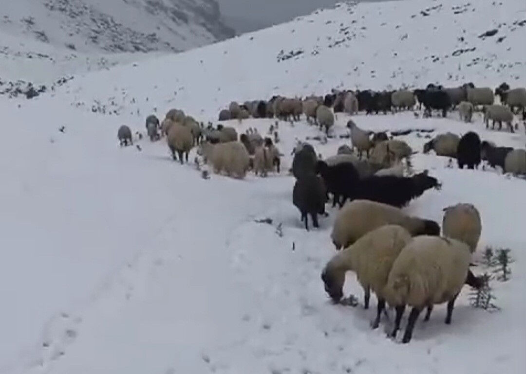 Kar kalınlığı bir metreyi aştı, ekipler devrede! Üs bölgesine giden yol kapandı - 4. Resim