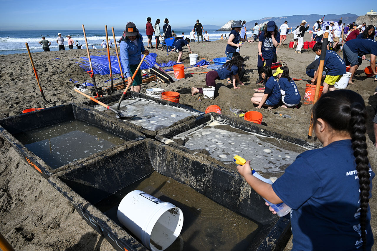 8500 öğrenciye kumdan destek! San Francisco'daki bu yarışma eğitime destek sağlıyor - 2. Resim