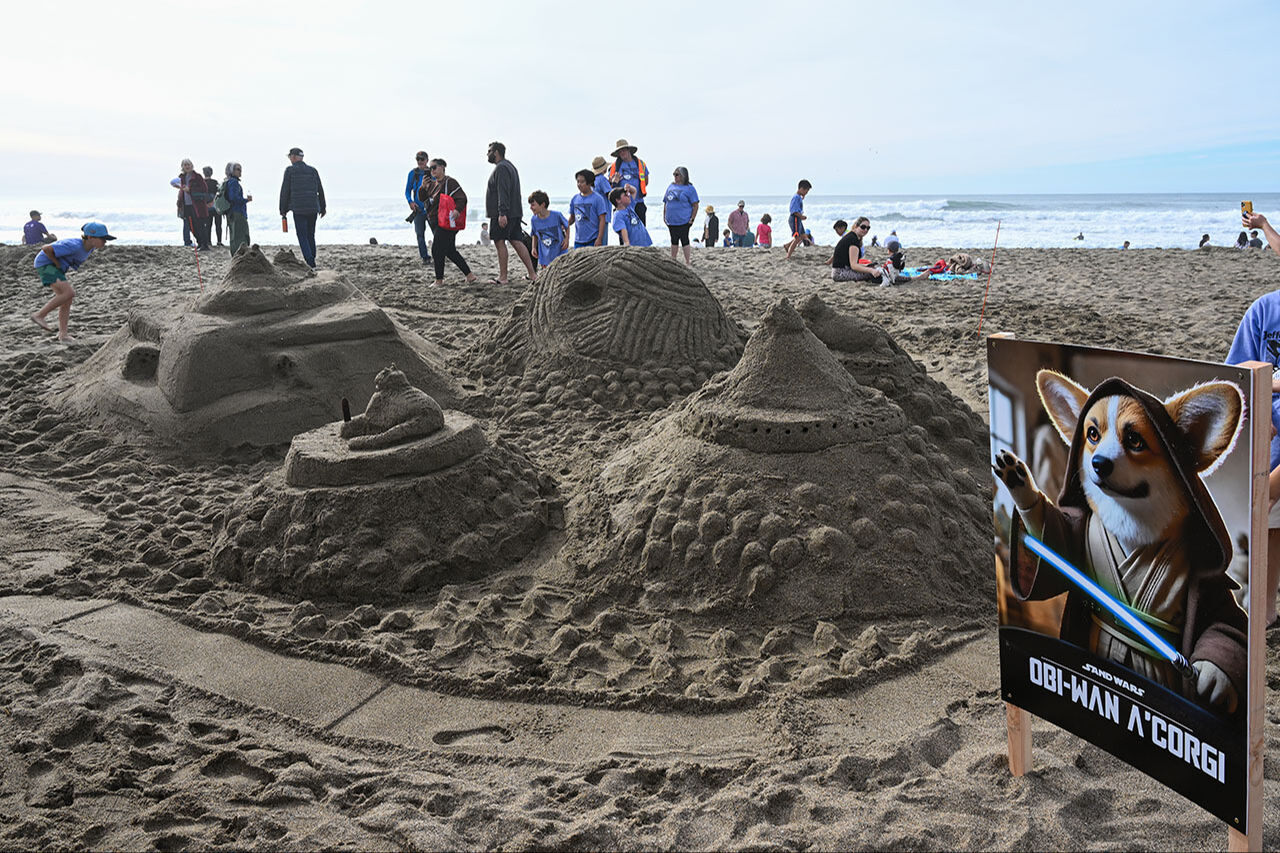 8500 öğrenciye kumdan destek! San Francisco'daki bu yarışma eğitime destek sağlıyor - 5. Resim