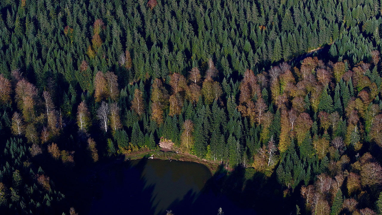 Arşivlik kareler | Torkul Göleti rengarenk manzarasıyla kampçıların gözdesi oldu - 5. Resim