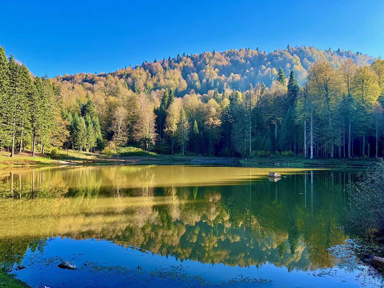 Arşivlik kareler | Torkul Göleti rengarenk manzarasıyla kampçıların gözdesi oldu - 8. Resim