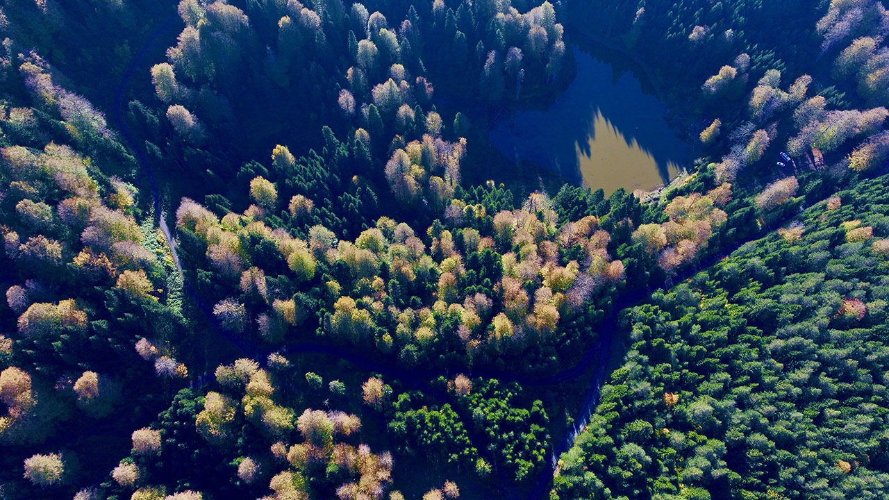 Arşivlik kareler | Torkul Göleti rengarenk manzarasıyla kampçıların gözdesi oldu - 3. Resim