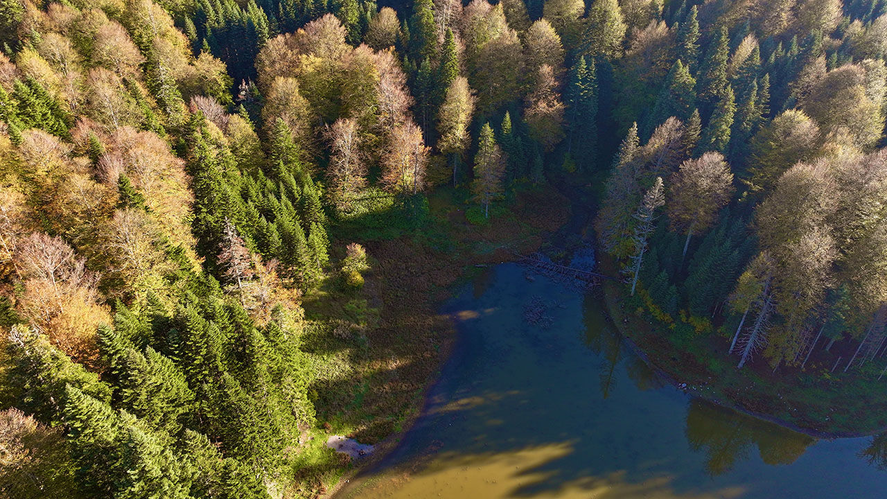 Arşivlik kareler | Torkul Göleti rengarenk manzarasıyla kampçıların gözdesi oldu - 1. Resim