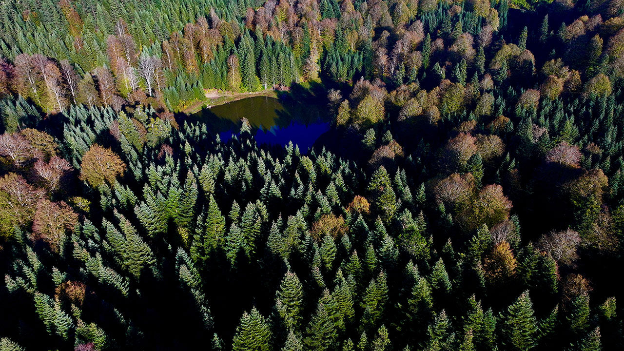 Arşivlik kareler | Torkul Göleti rengarenk manzarasıyla kampçıların gözdesi oldu - 6. Resim