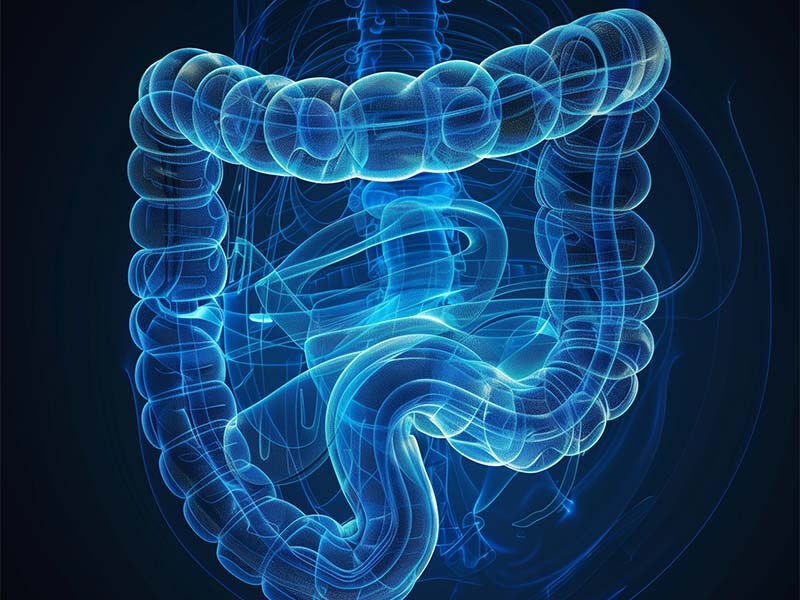Kolonoskopi nedir ve neden yaptırılması gerekir? Kolonoskopi nedir ve neden yaptırılması gerekir? - 5. Resim