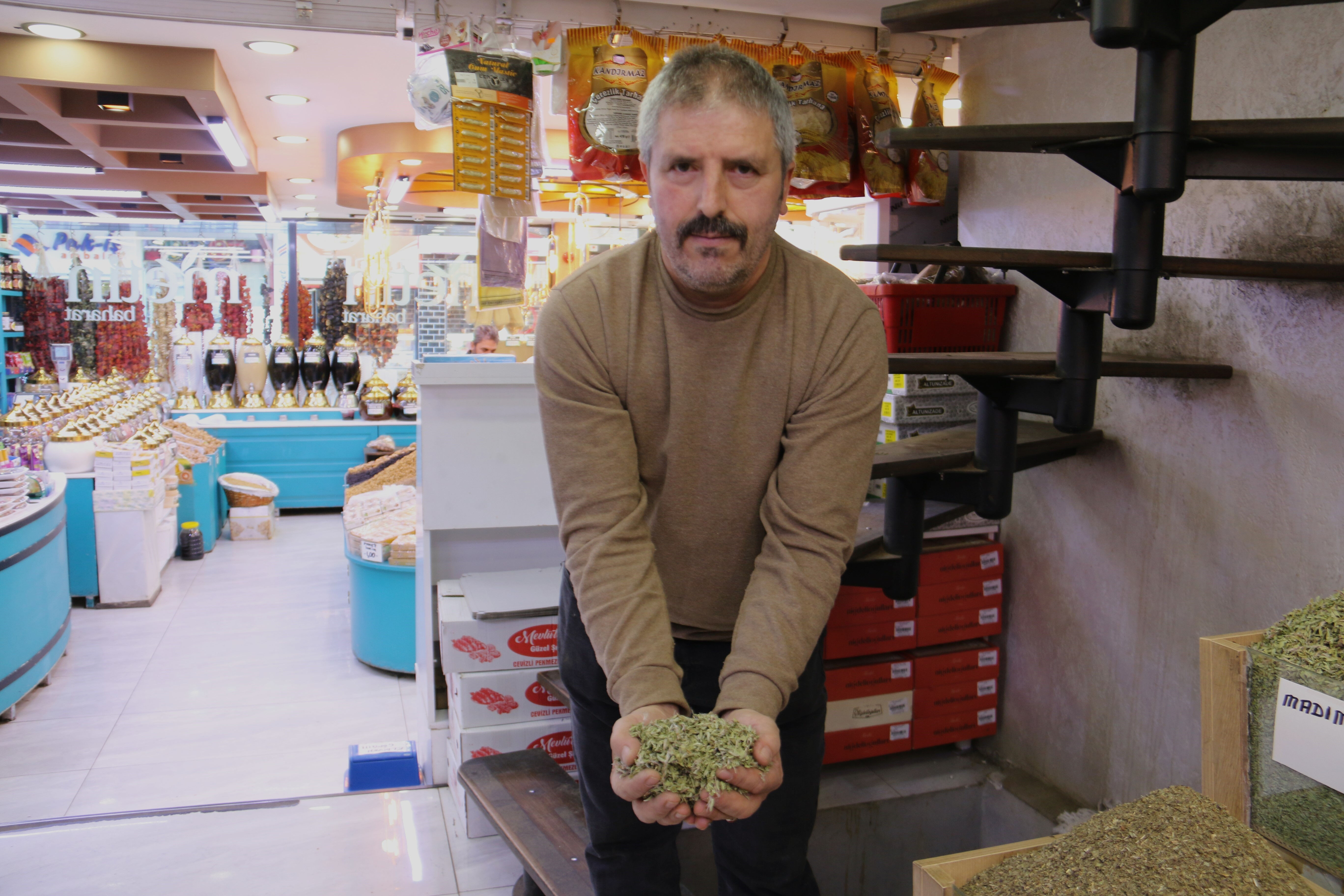 Kurutulunca fiyatı 100 TL'den 500 TL'ye çıkıyor! Toplaması sabır işi - 3. Resim