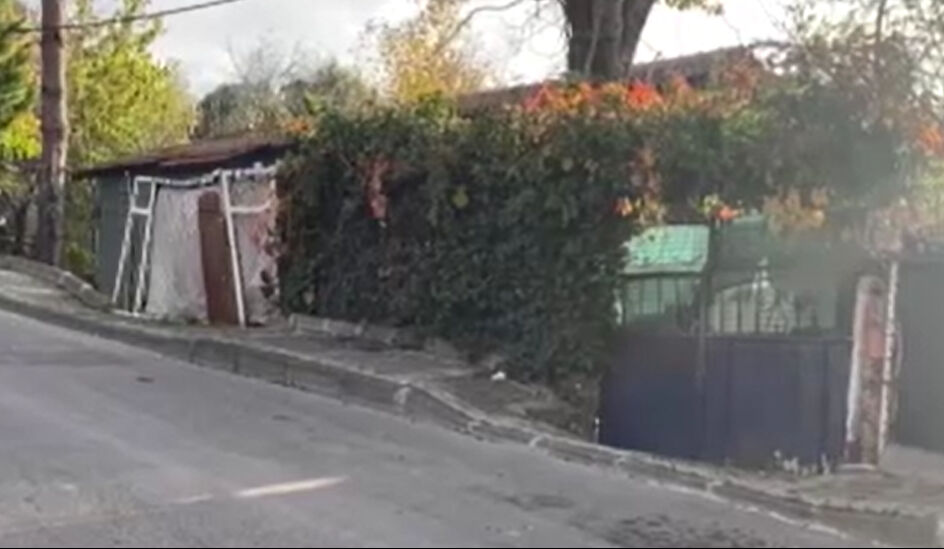 Annesine saldıran babasını bıçaklayarak öldürdü! Genç kadın tutuklandı - 1. Resim