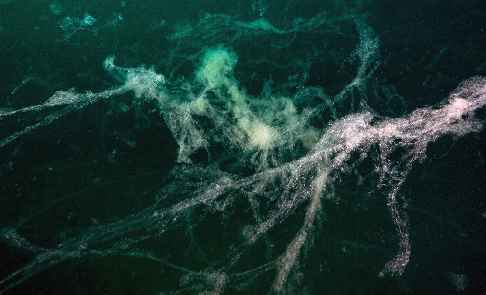 Sessiz ve derinden geliyor! Marmara Denizi'ndeki büyük tehlike 24 metreye kadar ulaştı - 2. Resim