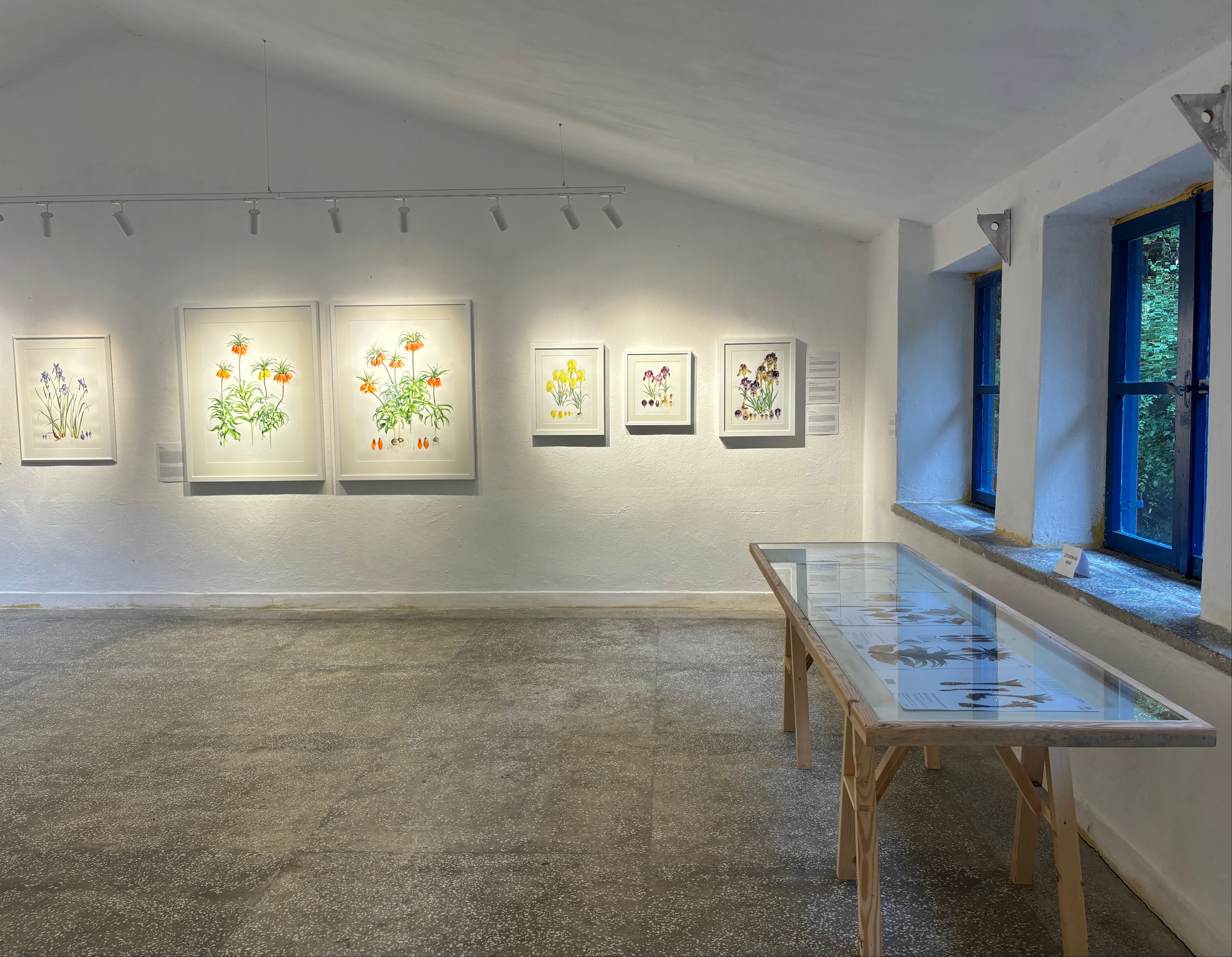 Tabiatın koynunda tabiat aşkına...  Ressam Işık Güner'in Eserleri̇ Fırtına Vadisi’nde sergileniyor - 2. Resim