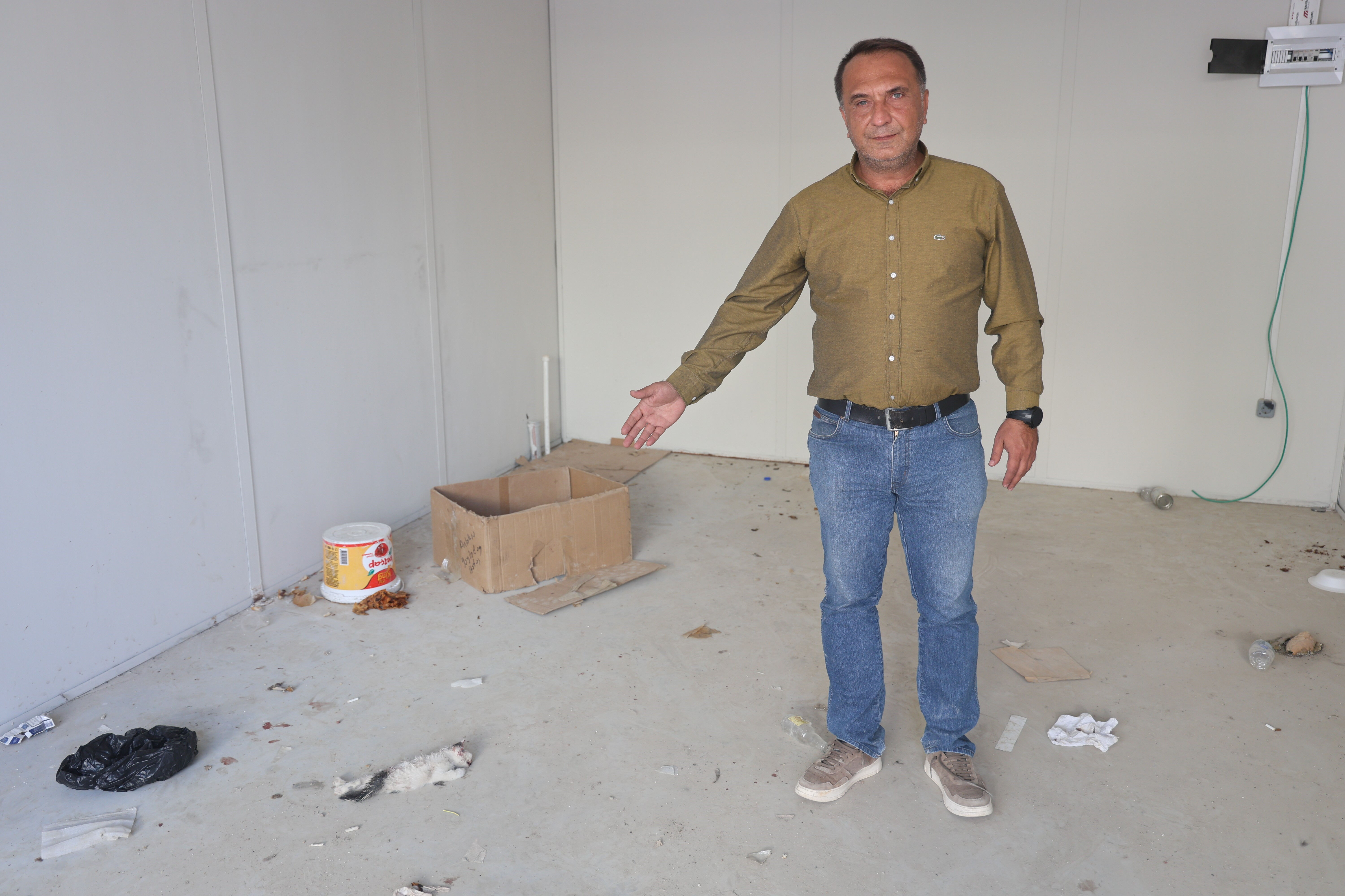 Hatay'da vahşet! Madde bağımlısı cani kedileri köpeklere parçalattı Hatay'da vahşet! Madde bağımlısı kedileri köpeklere parçalattı - 1. Resim