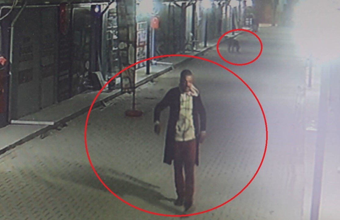 Hatay'da vahşet! Madde bağımlısı cani kedileri köpeklere parçalattı Hatay'da vahşet! Madde bağımlısı kedileri köpeklere parçalattı - 2. Resim