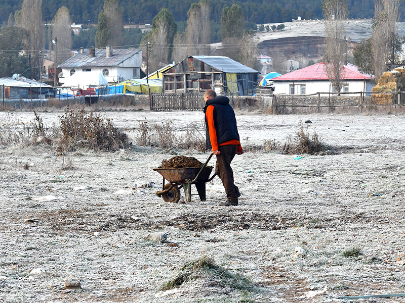 Kars ve Ardahan'da soğuk hava camları dondurdu - 1. Resim