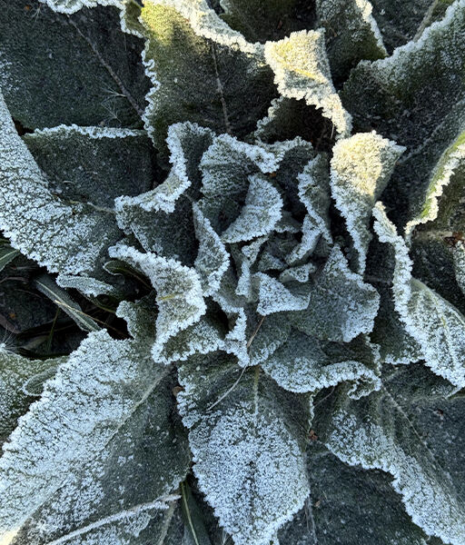 Kars ve Ardahan'da soğuk hava camları dondurdu - 4. Resim