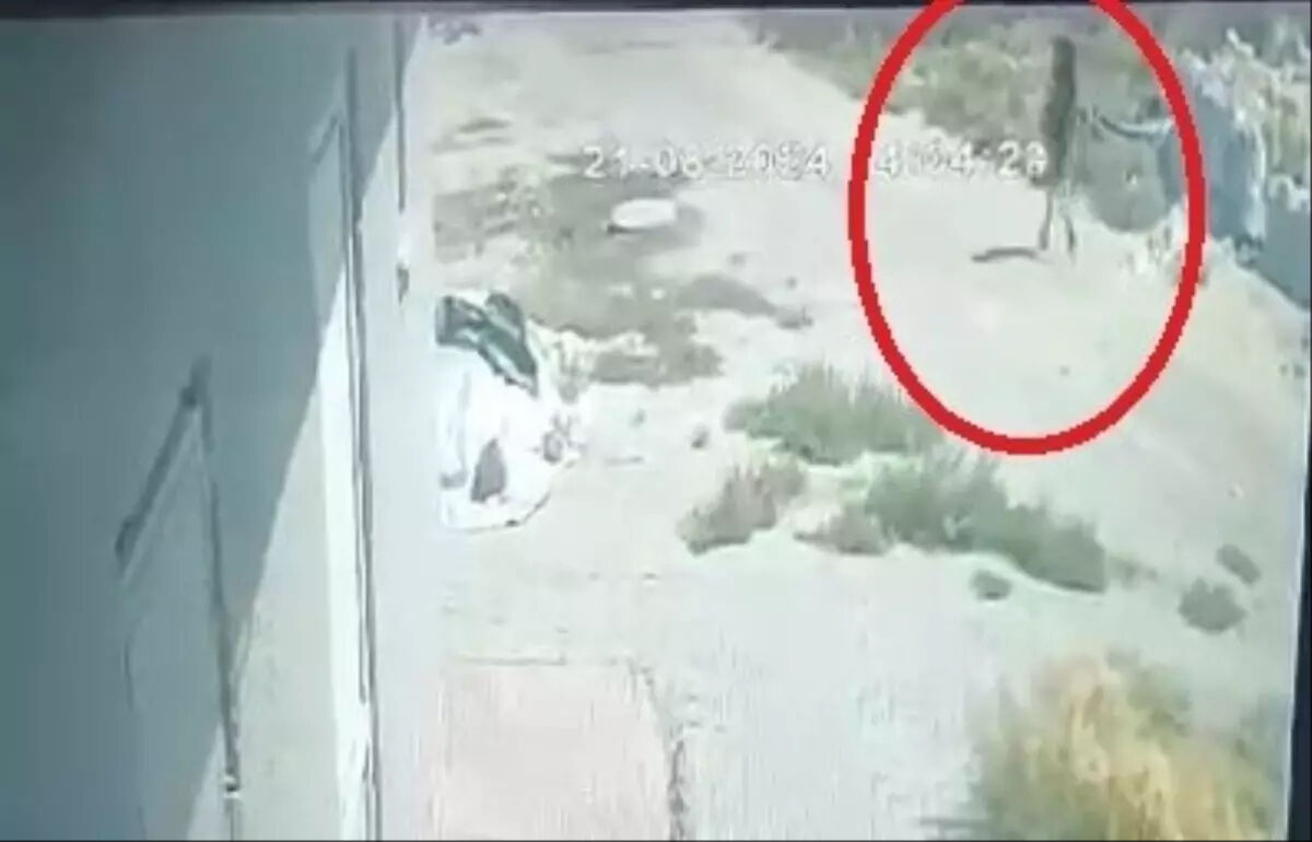 Narin Güran'ın cansız bedenini saklamıştı! İtirafçı Nevzat Bahtiyar'ın sorgu ve keşif görüntüleri ortaya çıktı - 7. Resim