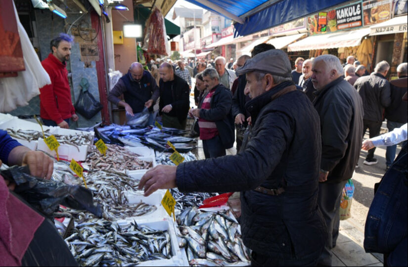Balıkçıları bile şaşırtan palamut bereketi yüzleri güldürdü! 1,5 kiloluk palamut 100 TL Balıkçıları bile şaşırtan palamut bereketi yüzleri güldürdü! 1,5 kiloluk palamut 100 TL - 3. Resim
