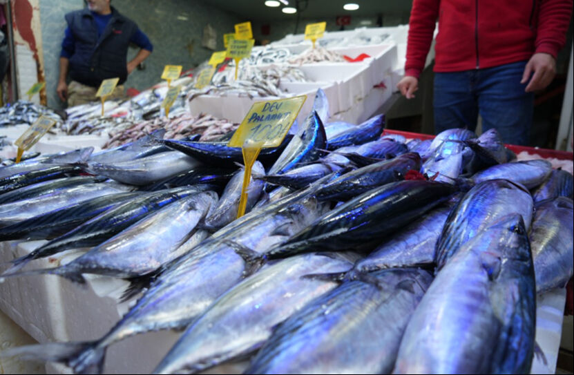 Balıkçıları bile şaşırtan palamut bereketi yüzleri güldürdü! 1,5 kiloluk palamut 100 TL Balıkçıları bile şaşırtan palamut bereketi yüzleri güldürdü! 1,5 kiloluk palamut 100 TL - 2. Resim