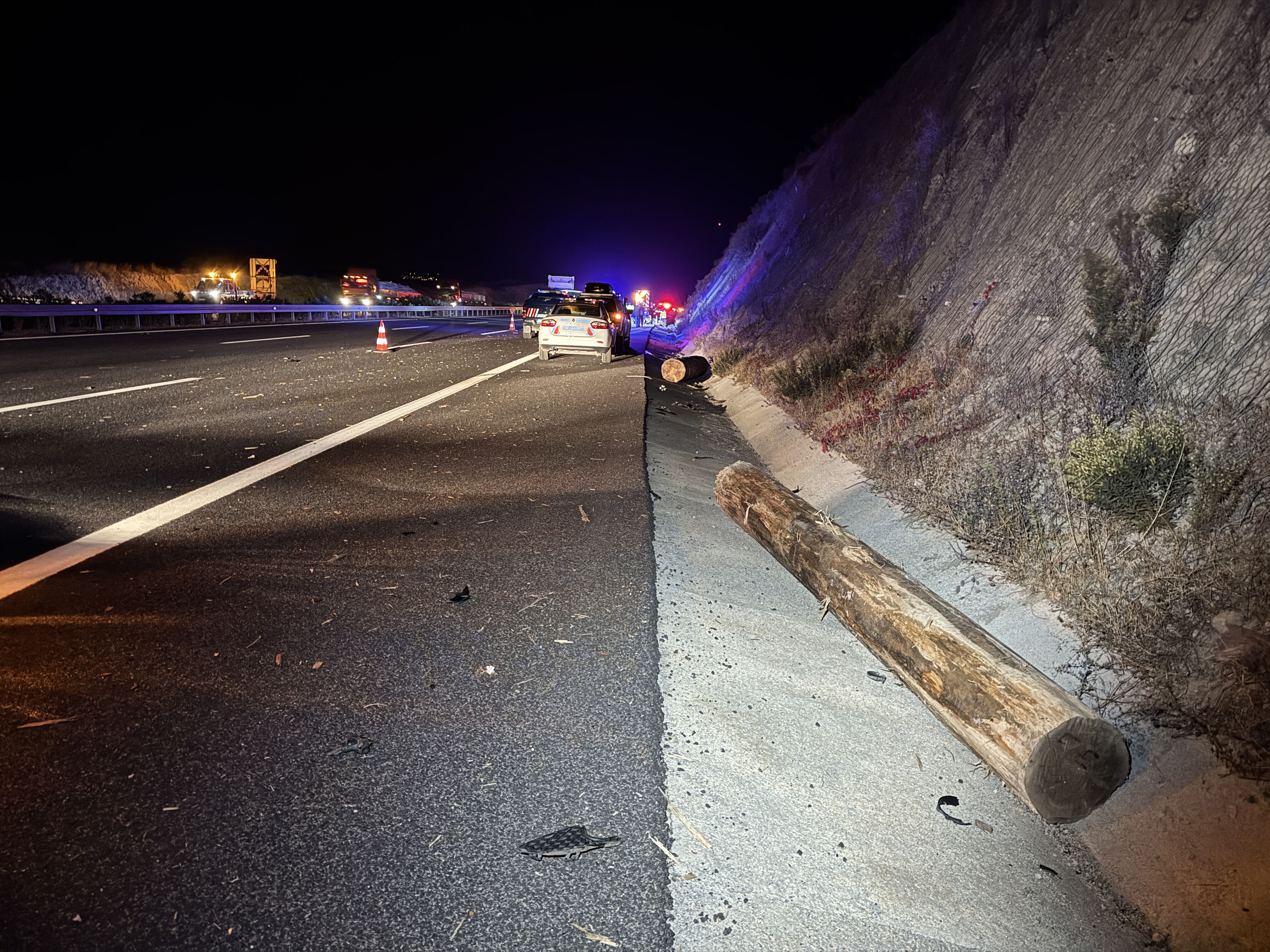 İstanbul-İzmir Otoyolu'nda feci kaza! 5 araç tırdan düşen tomruklara çarptı, ölü ve yaralılar var İstanbul-İzmir Otoyolu'nda feci kaza! 5 araç tırdan düşen tomruklara çarptı, ölü ve yaralılar var - 2. Resim