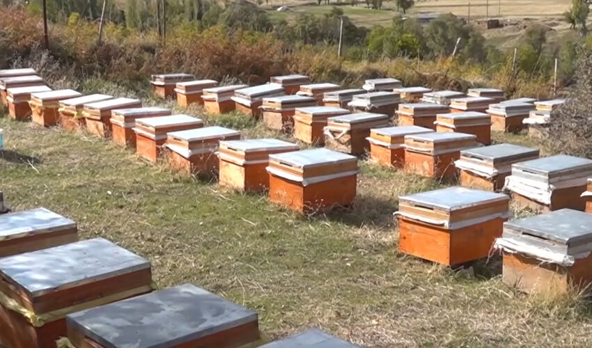 Devlet desteğiyle işlerini büyüttü! Şimdi 20 ülkeye gönderiyor, siparişlere zor yetişiyor - 1. Resim