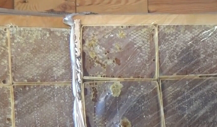 Devlet desteğiyle işlerini büyüttü! Şimdi 20 ülkeye gönderiyor, siparişlere zor yetişiyor - 3. Resim