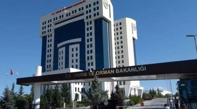 Konya'da kuş gribi vakası tespit edildi! Bakanlık'tan jet açıklama geldi - 1. Resim