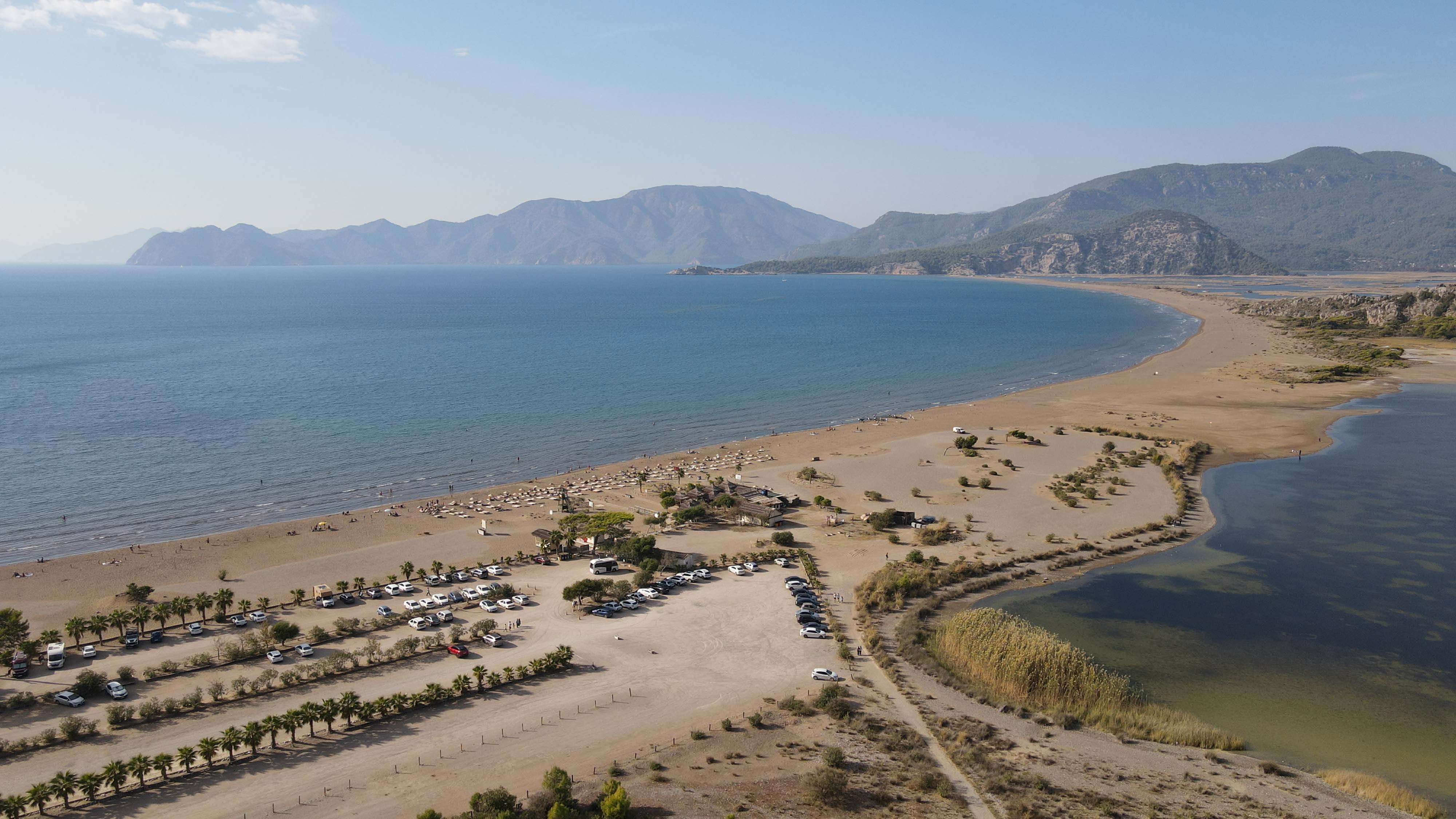 İztuzu Sahili'nde bu yıl 44 bin caretta caretta mavi sularla buluştu - 1. Resim