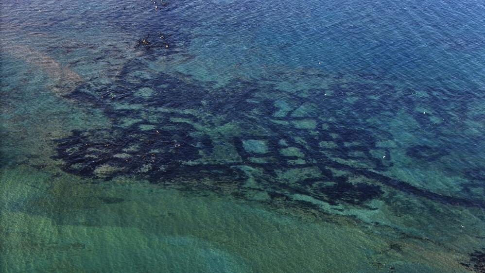 Van Gölü'nde tüyler ürperten manzara! Sular çekilince ortaya çıktı Van Gölü'nde tüyler ürperten manzara! Sular çekilince ortaya çıktı - 5. Resim