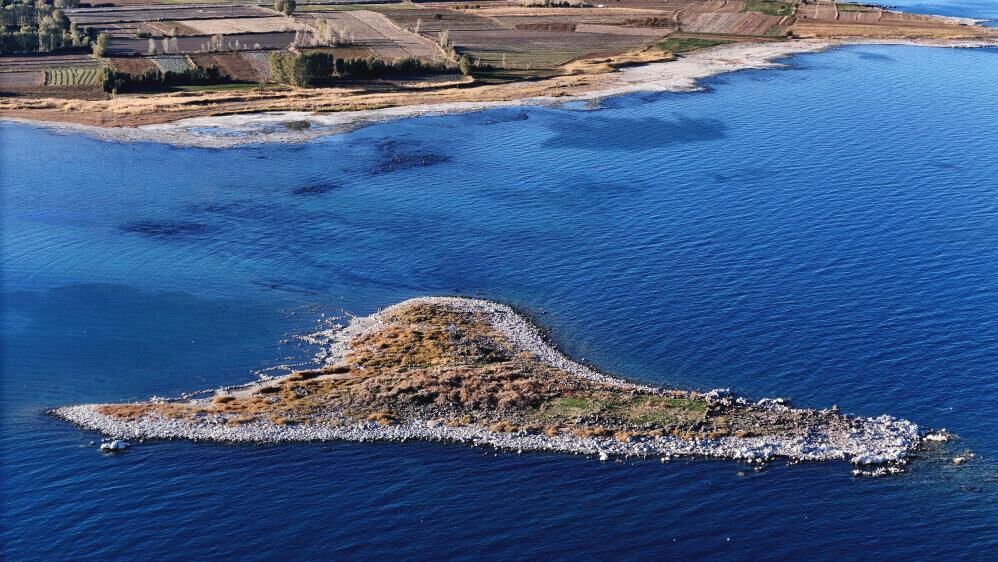 Van Gölü'nde tüyler ürperten manzara! Sular çekilince ortaya çıktı Van Gölü'nde tüyler ürperten manzara! Sular çekilince ortaya çıktı - 3. Resim