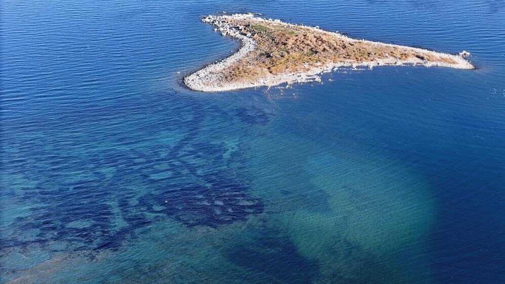Van Gölü'nde tüyler ürperten manzara! Sular çekilince ortaya çıktı Van Gölü'nde tüyler ürperten manzara! Sular çekilince ortaya çıktı - 6. Resim