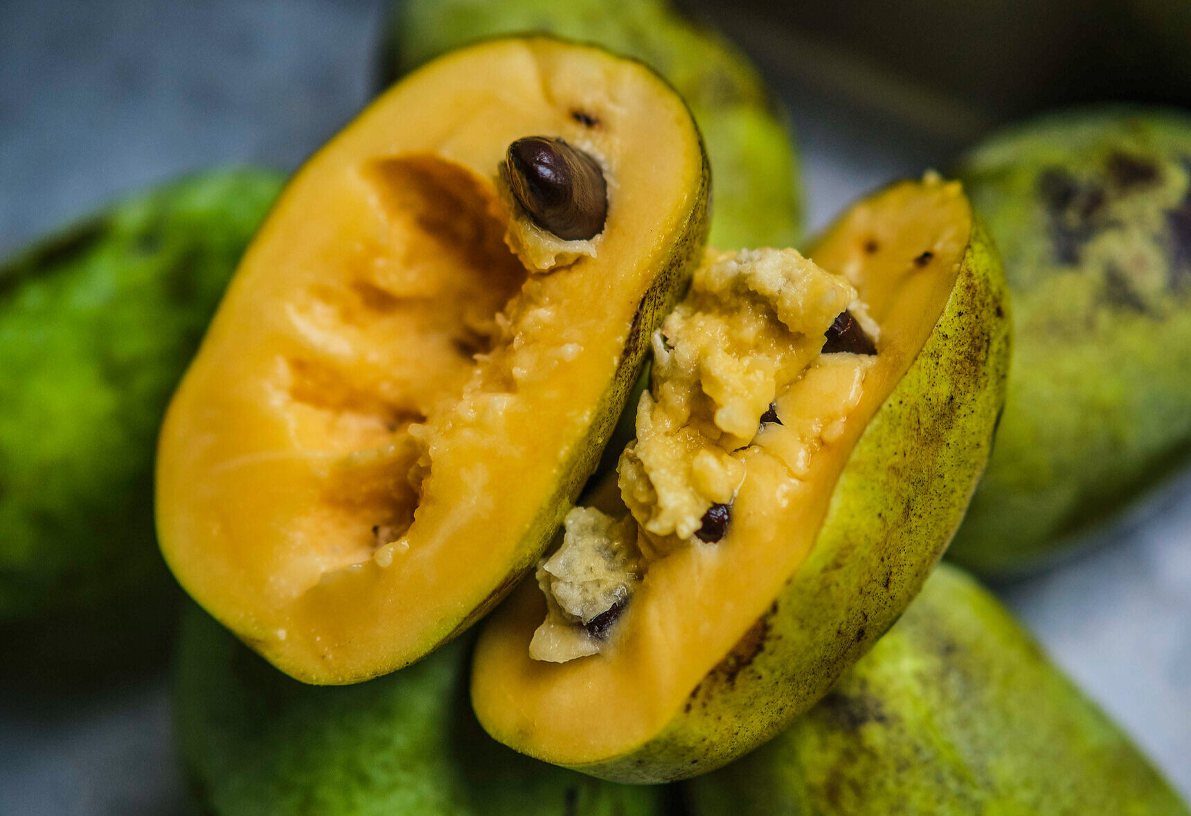 Bahçesinde 32 ülkeden fidan var! Trabzonlu akademisyen: Anti kanser özelliği ile bilinen pawpaw meyvesini getirdik - 1. Resim