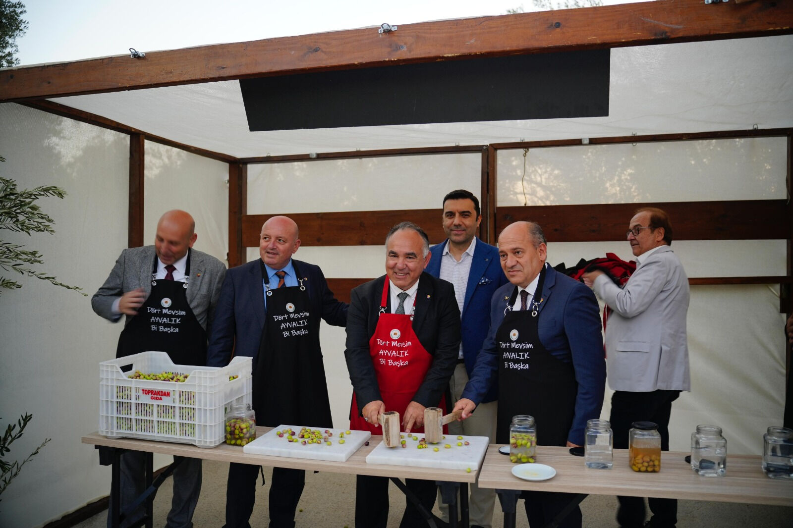 Hasat zamanı! Bin yıllık ağaçtan zeytinyağı Hasat zamanı! Bin yıllık ağaçtan zeytinyağı - 1. Resim