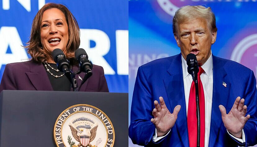 Kazanan 20 Ocak 2025'te göreve başlayacak! ABD seçimleri ne zaman sonuçlanacak? - 4. Resim