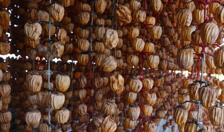 Verim yüzde 40 arttı! Tek tek asılıp kurutuluyor, Türkiye’nin dört bir yanından alıcısı var - 2. Resim