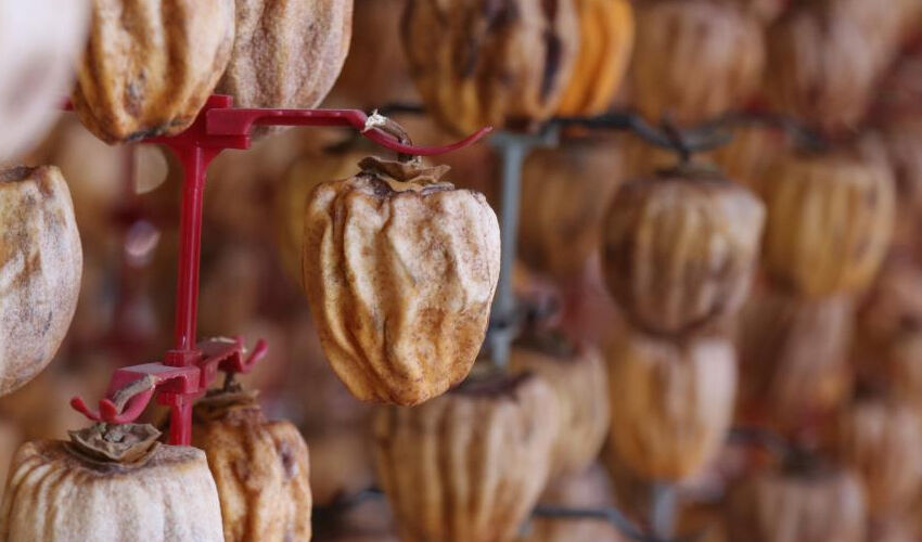 Verim yüzde 40 arttı! Tek tek asılıp kurutuluyor, Türkiye’nin dört bir yanından alıcısı var - 1. Resim