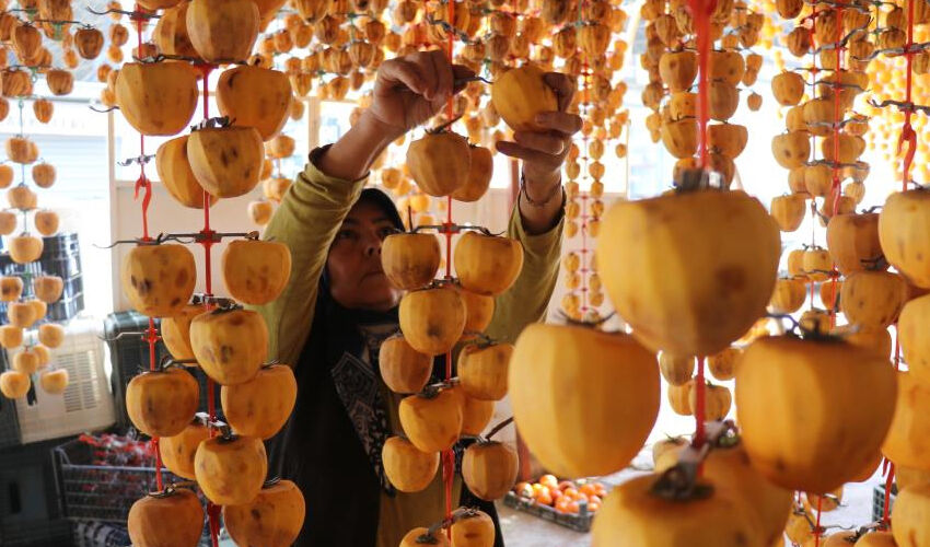 Verim yüzde 40 arttı! Tek tek asılıp kurutuluyor, Türkiye’nin dört bir yanından alıcısı var - 3. Resim