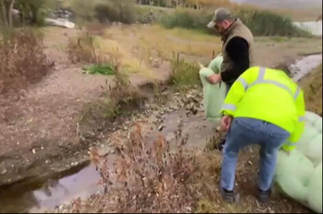 Amatör balıkçılar fark etti, ekipler seferber oldu! Sapanca Gölü'ndeki gizemli madde tedirgin etti Amatör balıkçılar fark etti!, ekipler seferber oldu! Sapanca Gölü'ndeki gizemli madde tedirgin etti - 2. Resim