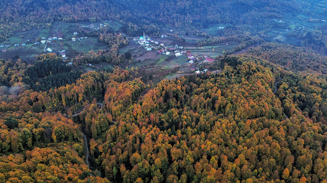 Arşivlik kareler | Bursa'nın İnegöl'de sonbahar renkleri - 6. Resim