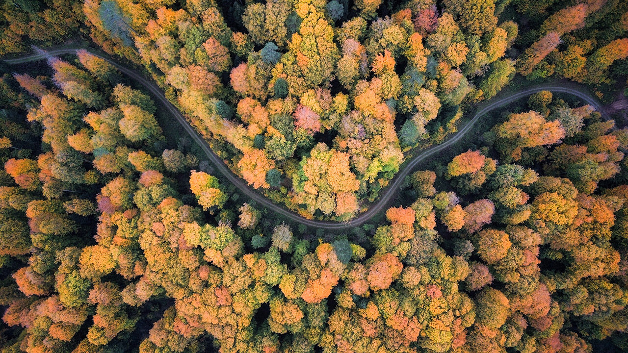 Arşivlik kareler | Bursa'nın İnegöl'de sonbahar renkleri - 2. Resim