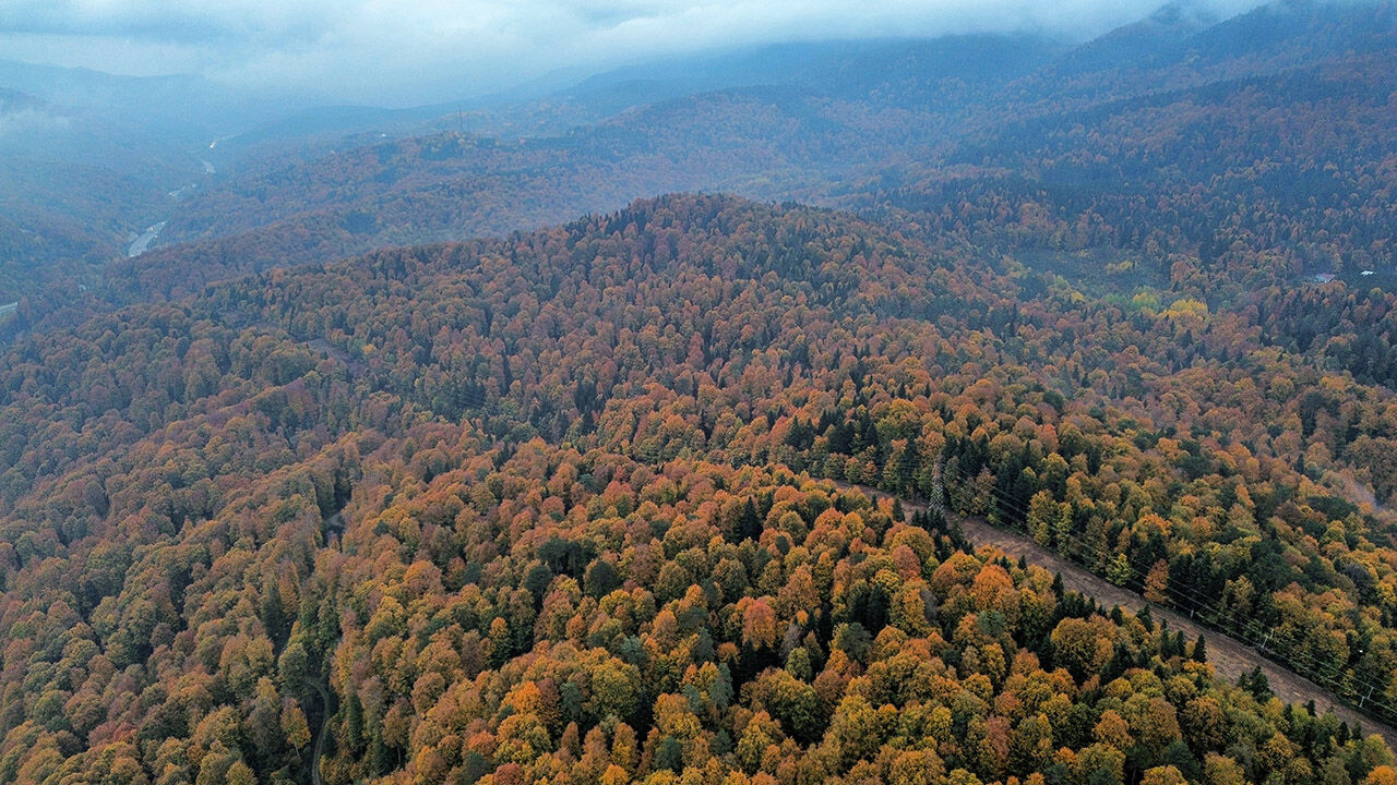 Arşivlik kareler | Bursa'nın İnegöl'de sonbahar renkleri - 7. Resim