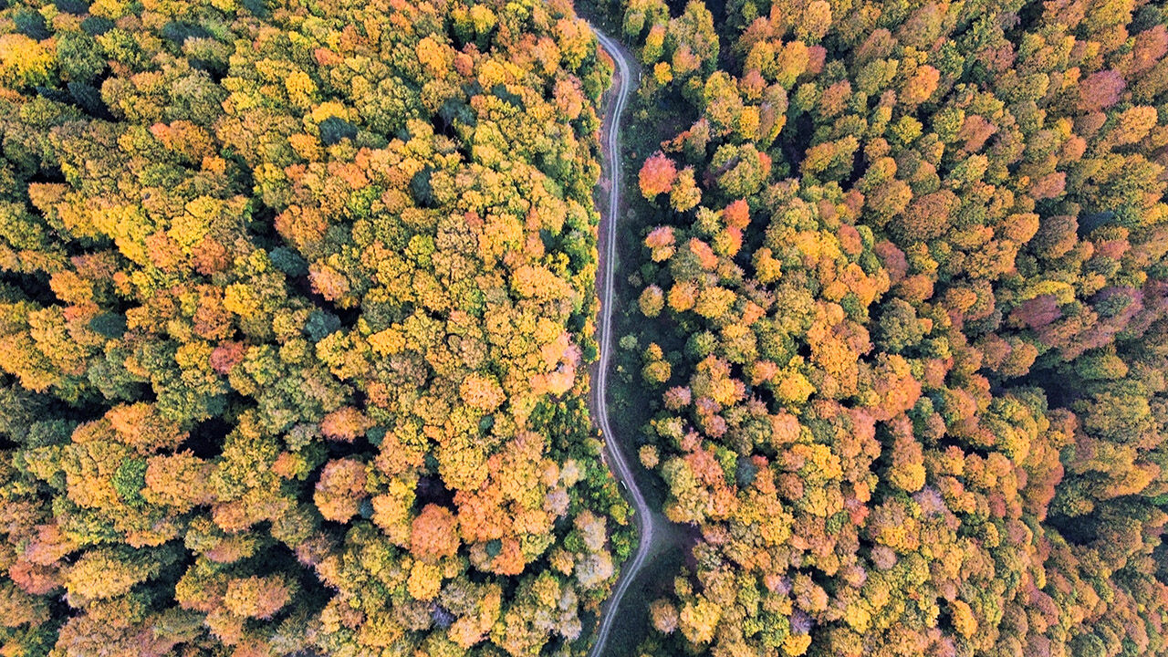 Arşivlik kareler | Bursa'nın İnegöl'de sonbahar renkleri - 4. Resim