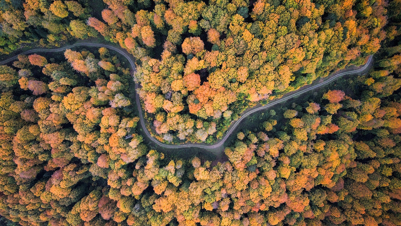 Arşivlik kareler | Bursa'nın İnegöl'de sonbahar renkleri - 1. Resim