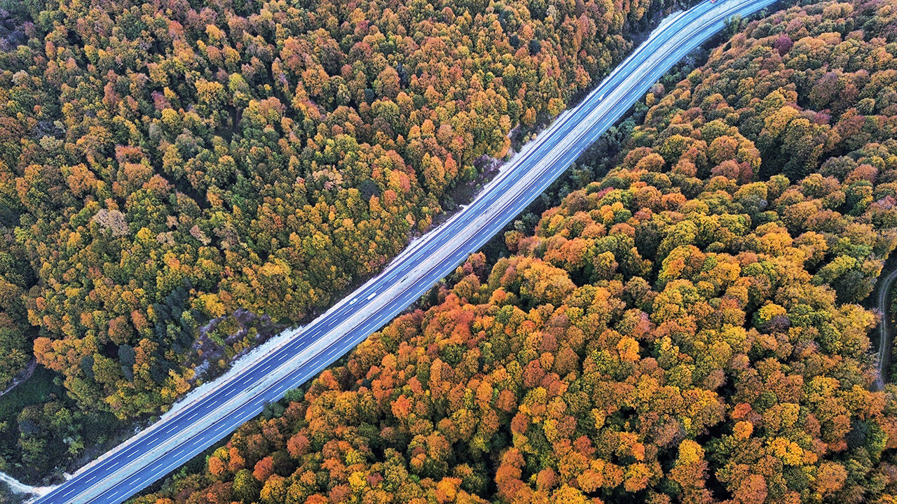 Arşivlik kareler | Bursa'nın İnegöl'de sonbahar renkleri - 5. Resim