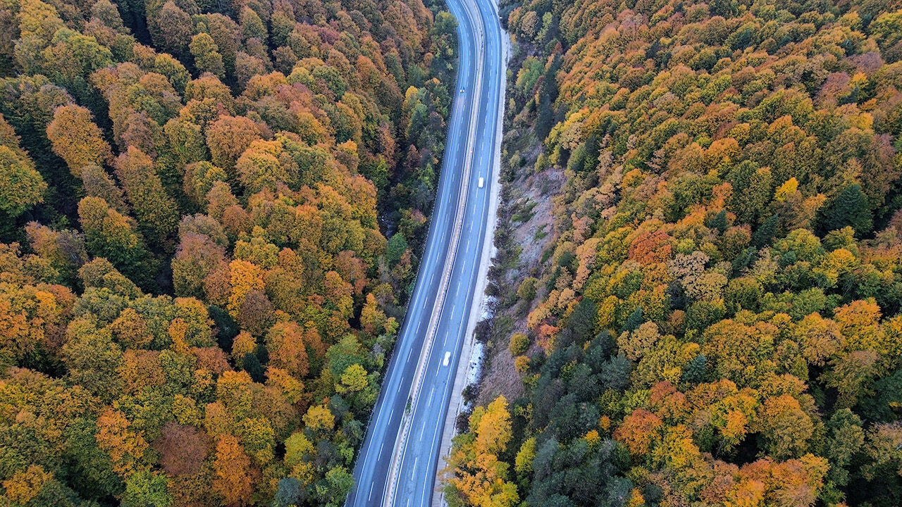 Arşivlik kareler | Bursa'nın İnegöl'de sonbahar renkleri - 8. Resim