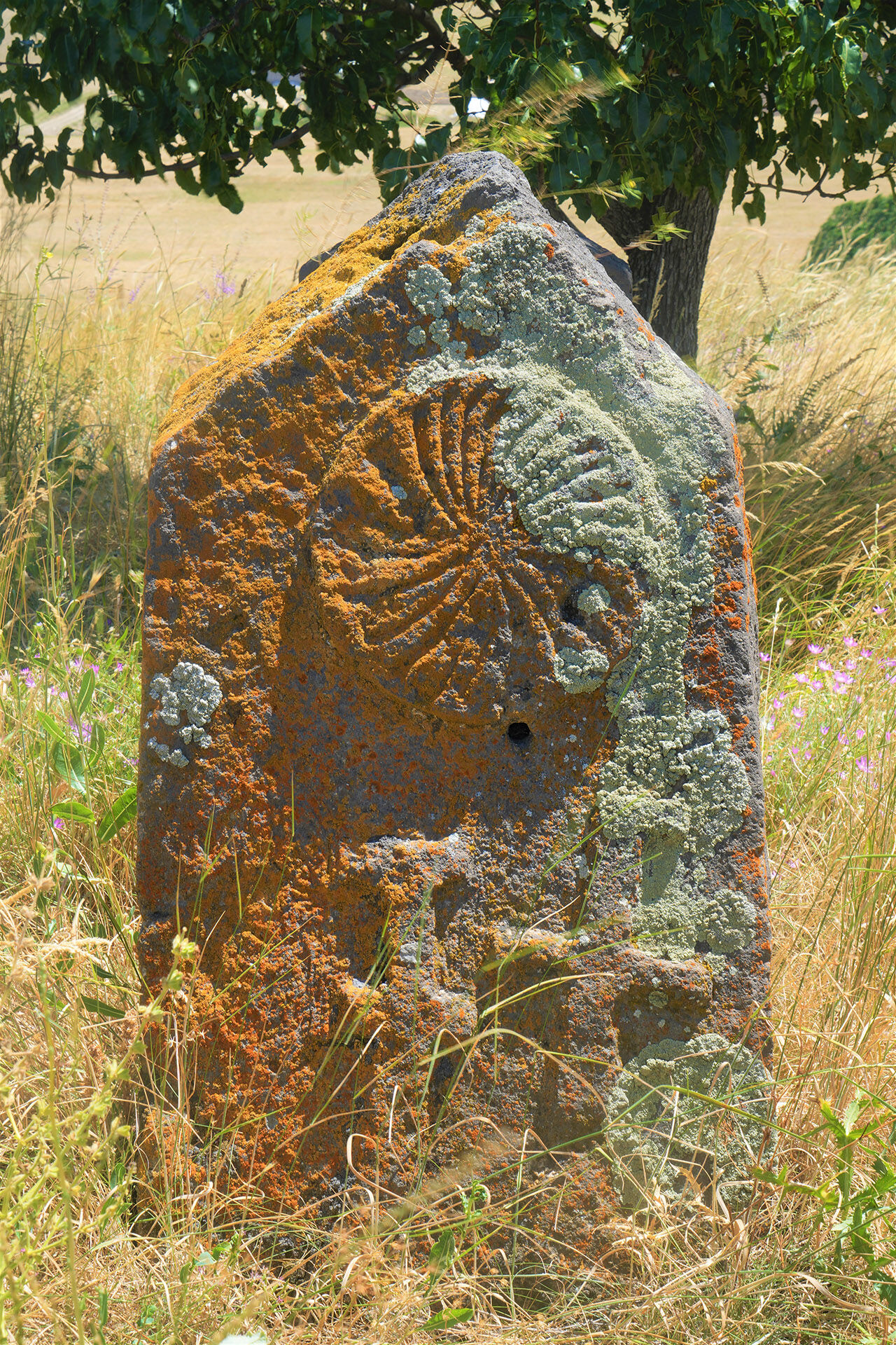 Asırlar sonra fark edildi! Muş'ta Akkoyunlular dönemine ait mezarlık tespit edildi Asırlar sonra fark edildi! Muş'ta Akkoyunlular dönemine ait mezarlık tespit edildi - 6. Resim