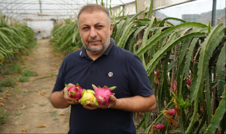 Bilecik'te yaşayan Mehmet Kılıç'ın internette gördüğü meyve ile hayatı değişti - 1. Resim