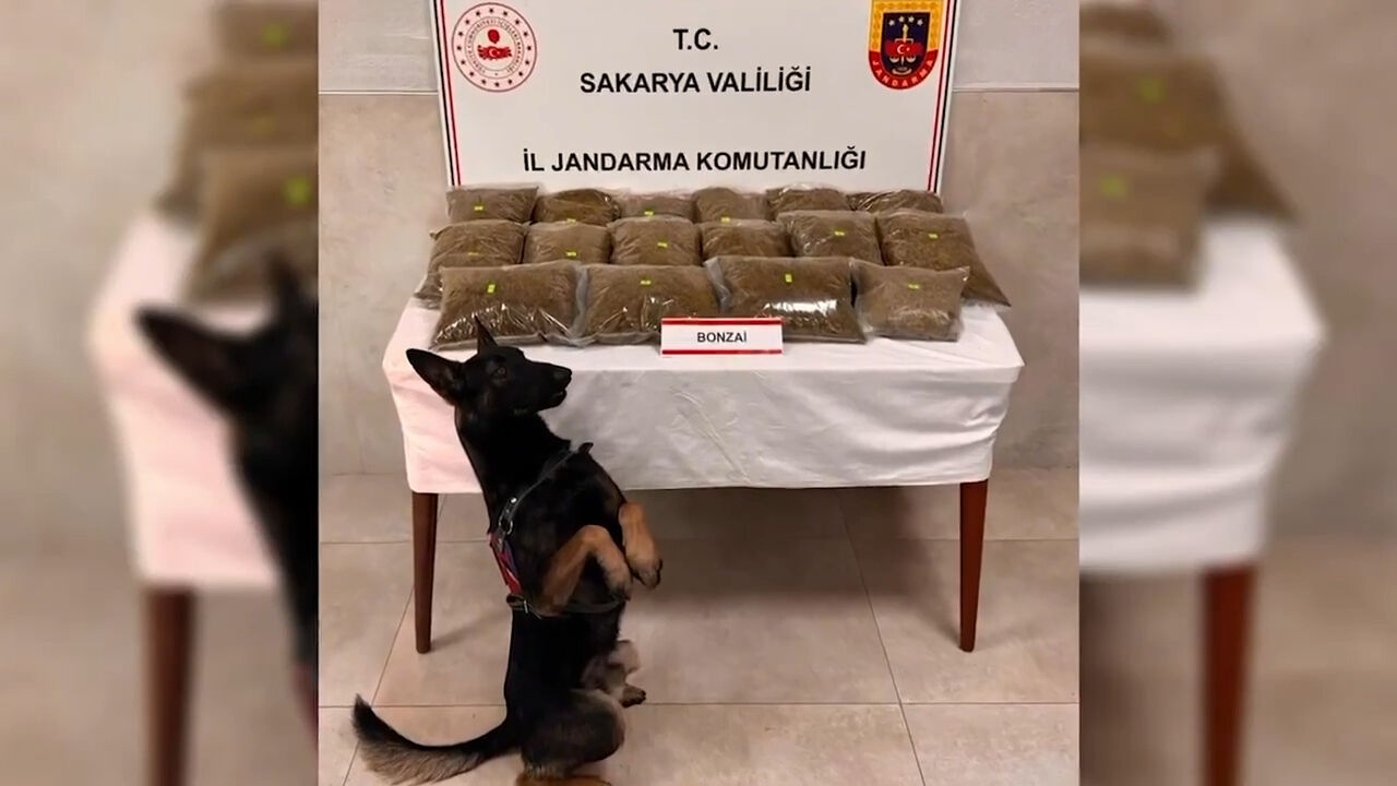 Uyuşturucu tacirlerine geçit yok! Narkoçelik-46 operasyonlarında 42 kişi tutuklandı - 3. Resim