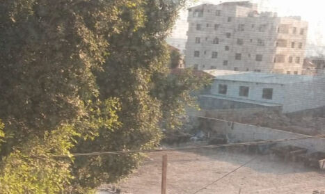 İsrail'den Filistinli sivillerin kaldığı kamplara buldozerlerle baskın İsrail'den Filistinli sivillerin kaldığı kamplara buldozerlerle baskın - 1. Resim