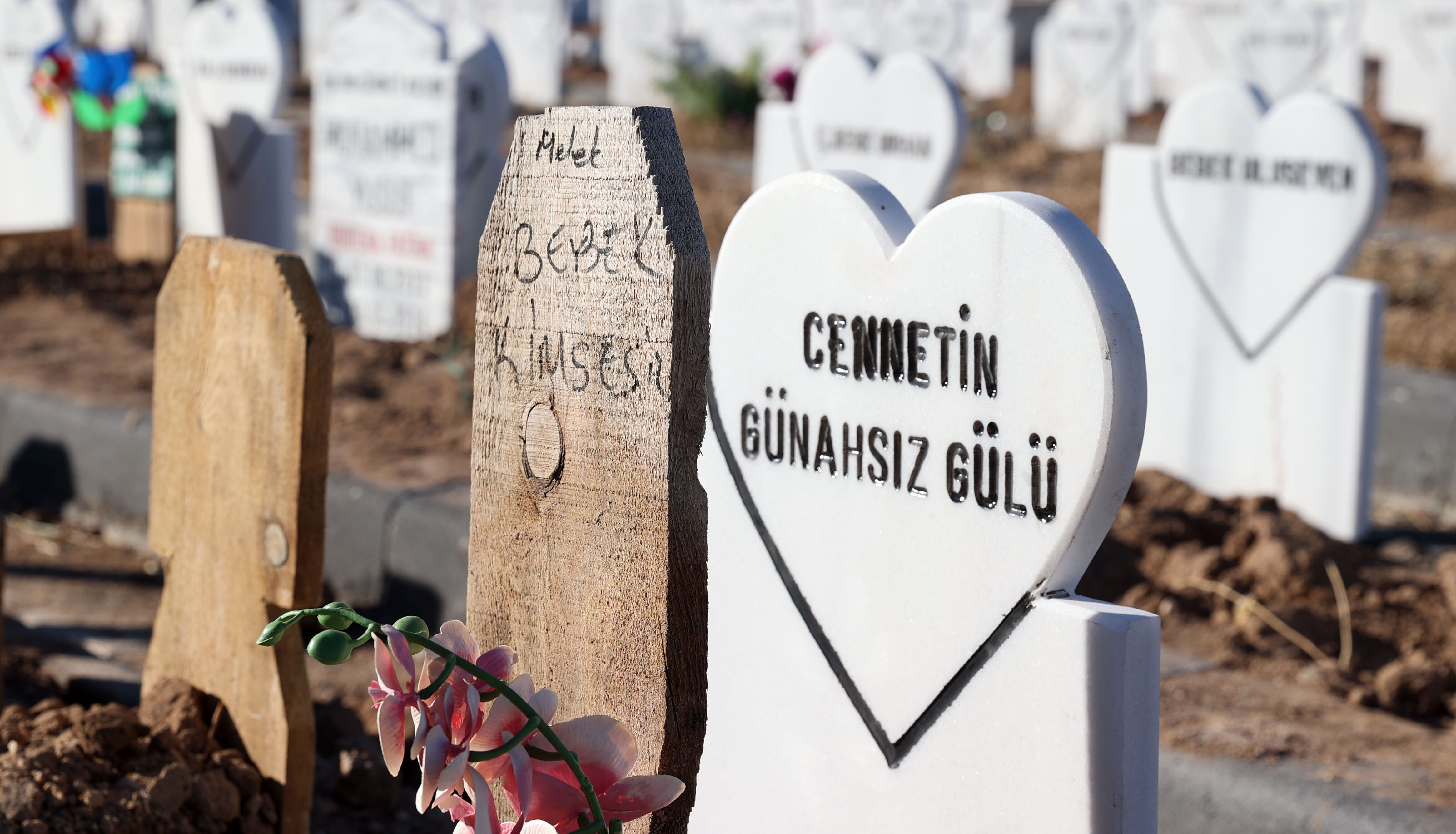 Sivas'ta parçalanmış bebek bulunmuştu! Olayın aslı ortaya çıktı - 2. Resim