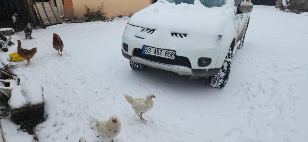 Ardahan güne karla uyandı! Araçlar beyaz örtünün altında kaldı - 2. Resim
