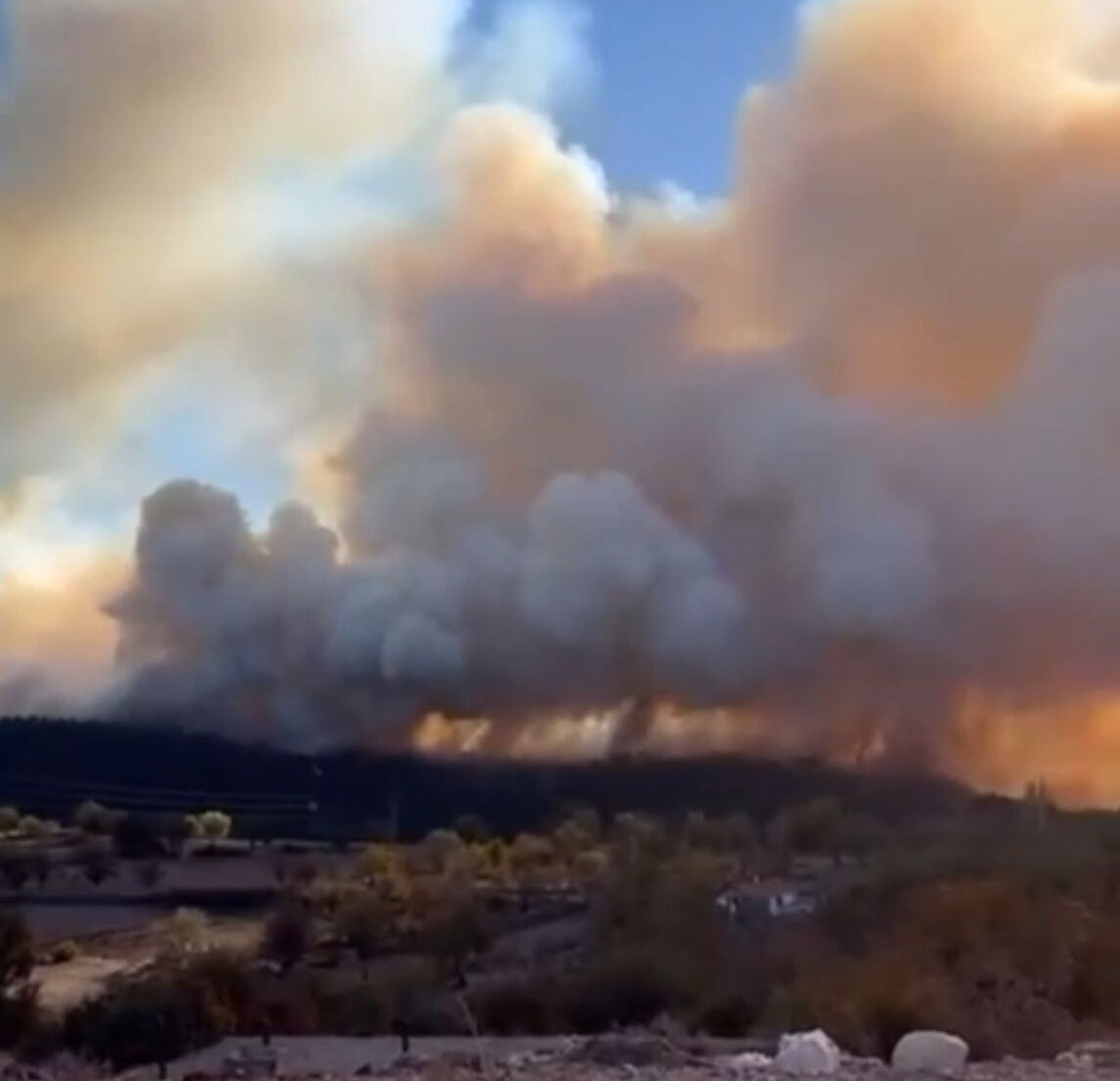 Bursa'da orman yangını! Alevlerle mücadele sürüyor - 2. Resim